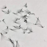 5D L Fan .0.07  Promade Loose Fans.