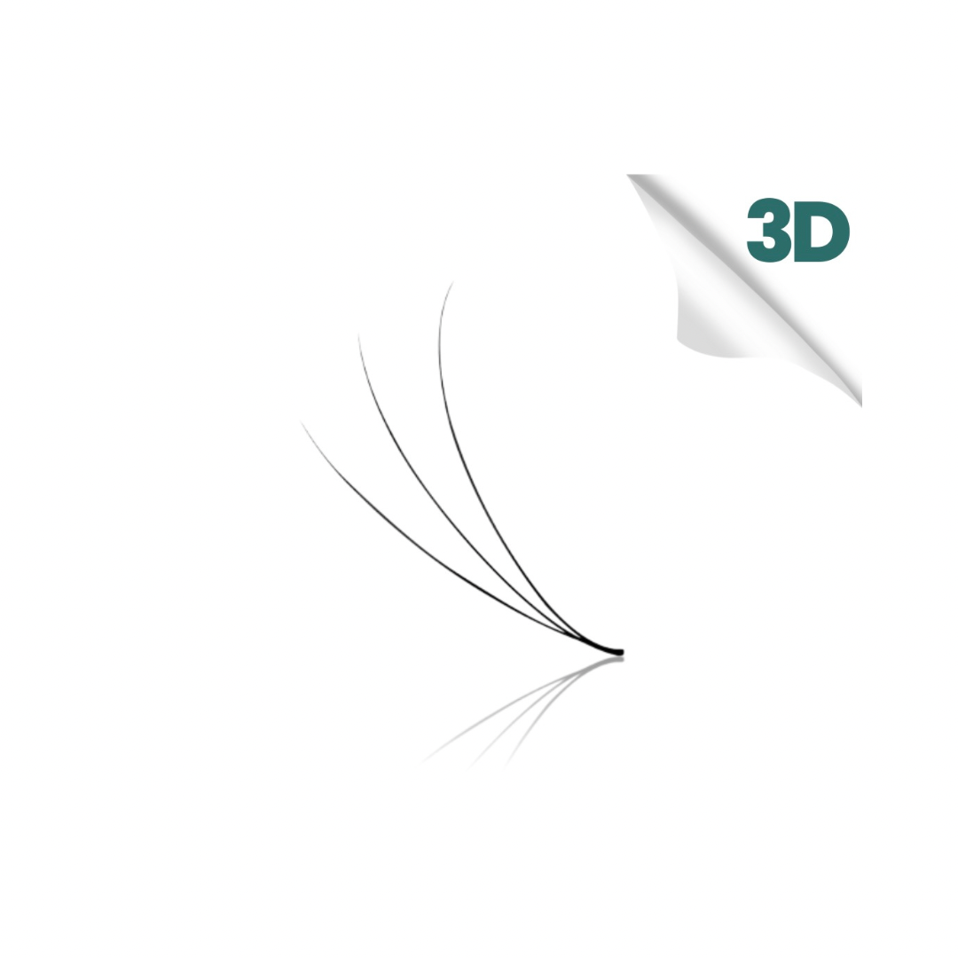 3D LASHES