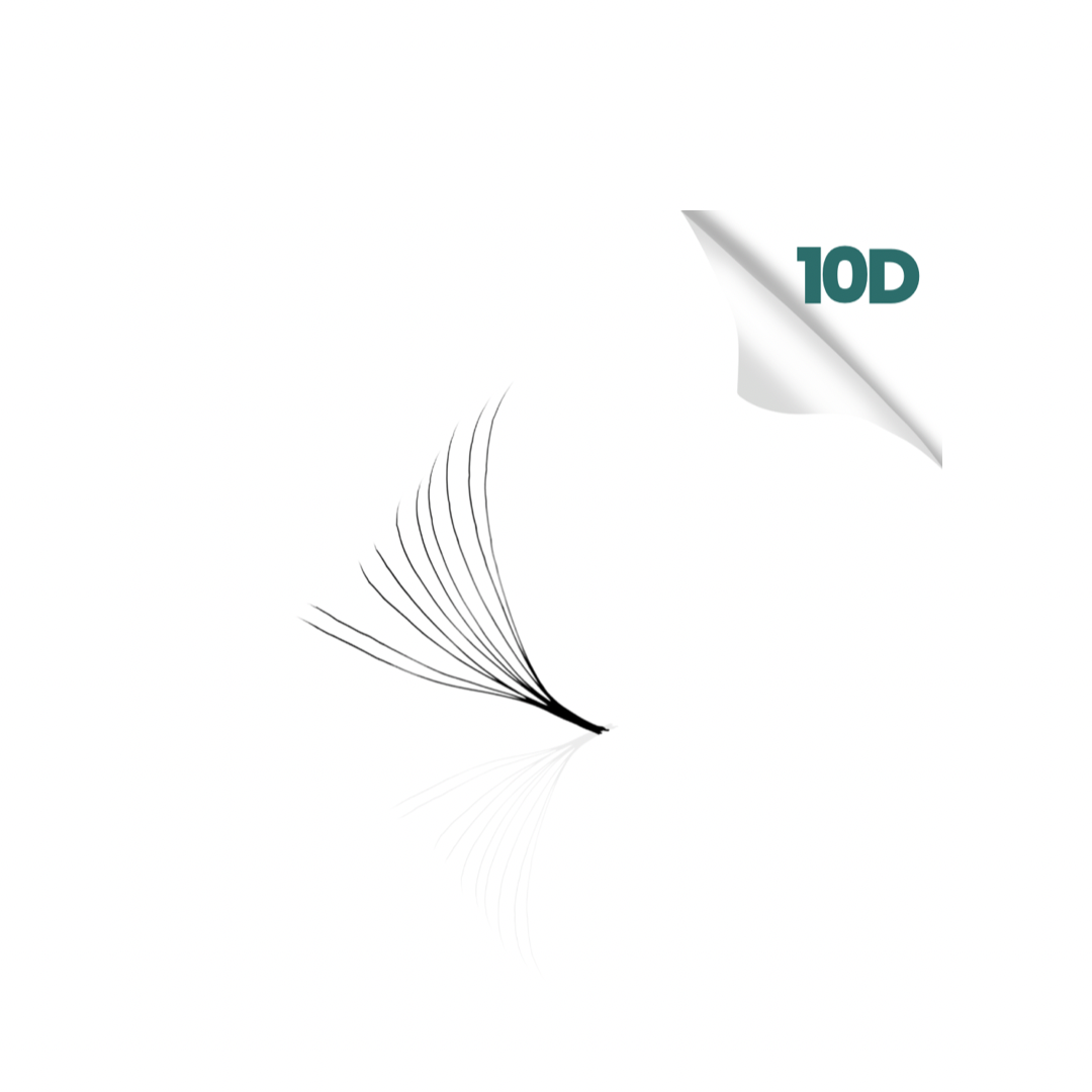 10D LASHES