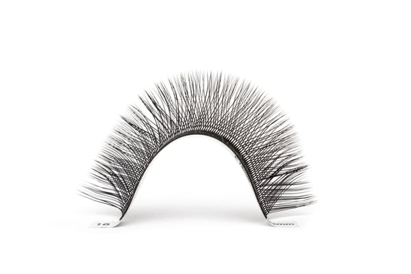 Close-up of a row of volume lash extensions