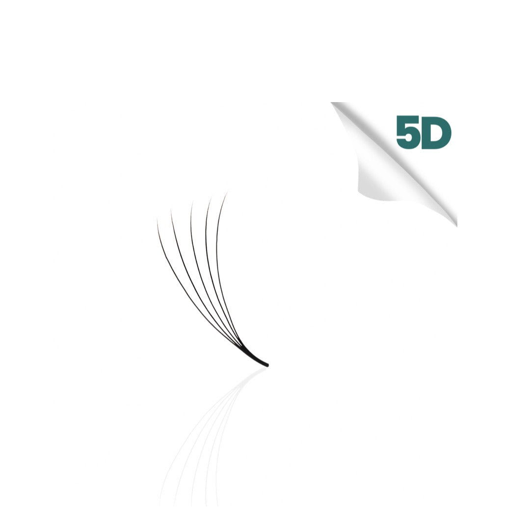 5D promade loose fan, single fan close-up