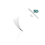 5D promade loose fan, single fan close-up
