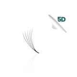 5D promade loose fan, single fan close-up