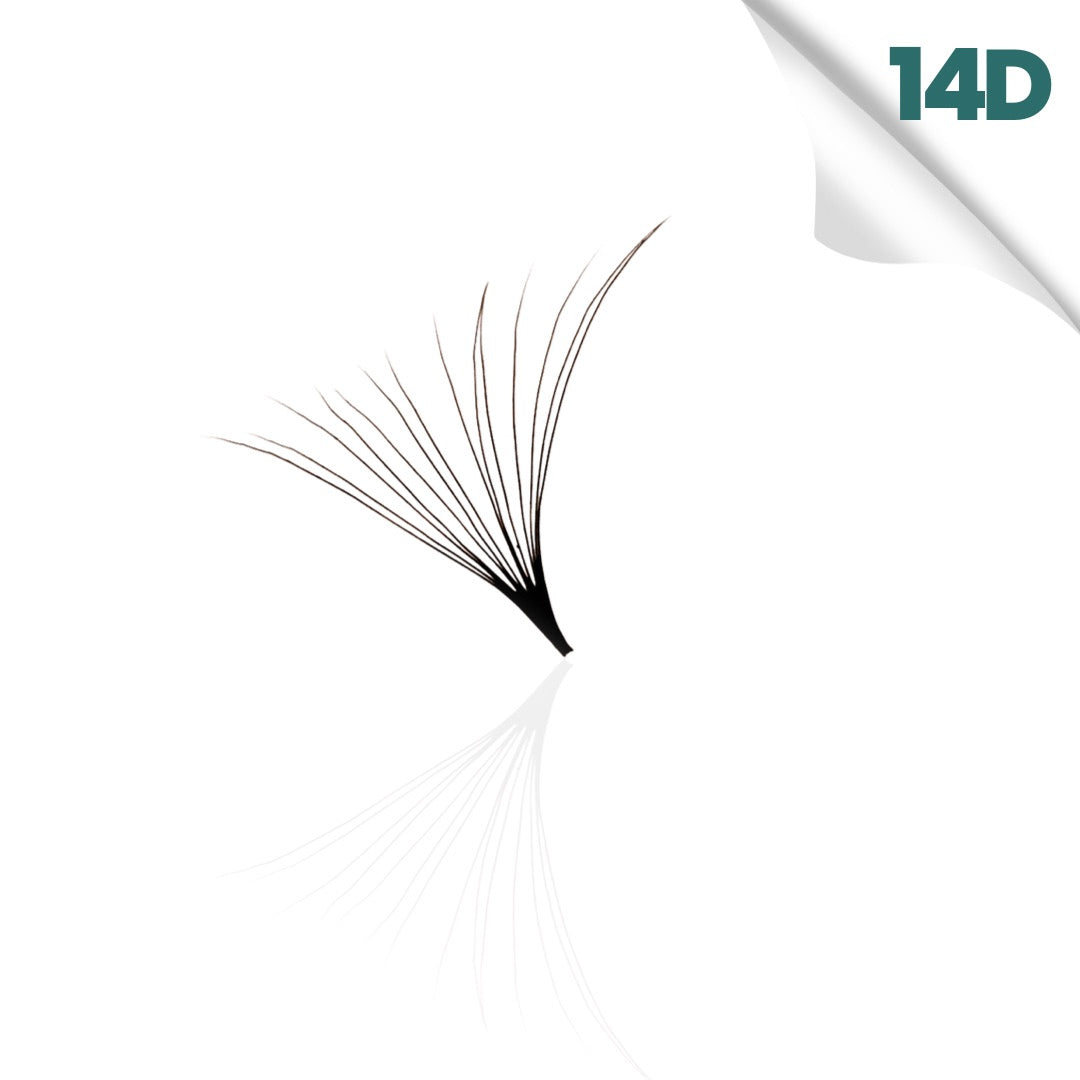 14D promade loose fan, single fan close-up