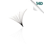 14D promade loose fan, single fan close-up