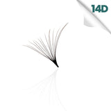 14D promade loose fan, single fan close-up